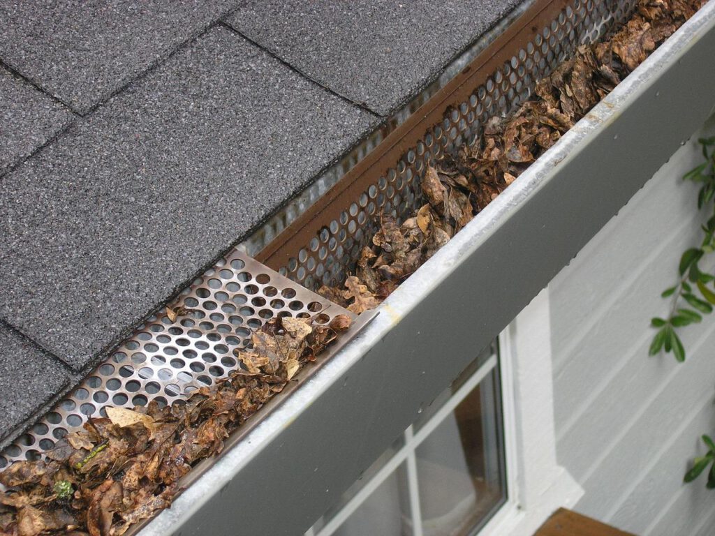 Leaves in gutters after a fall rainstorm